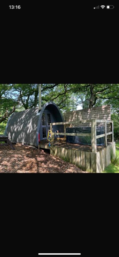 Willow Cabin & Hot Tub - B&B Barmouth