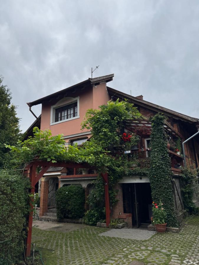 Pokoje pod winogronami - Chambres d’hôtes Płoty