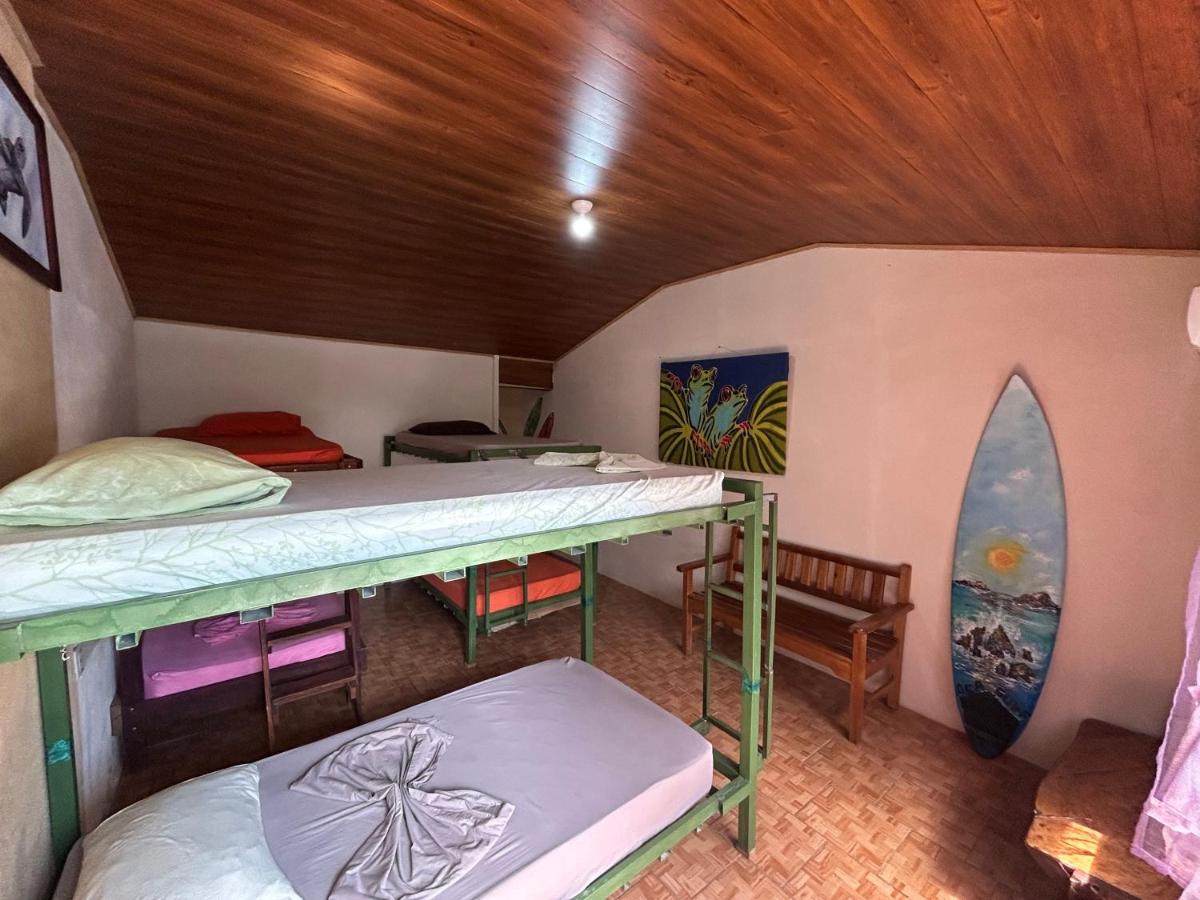 Bunk Bed in Mixed Dormitory Room