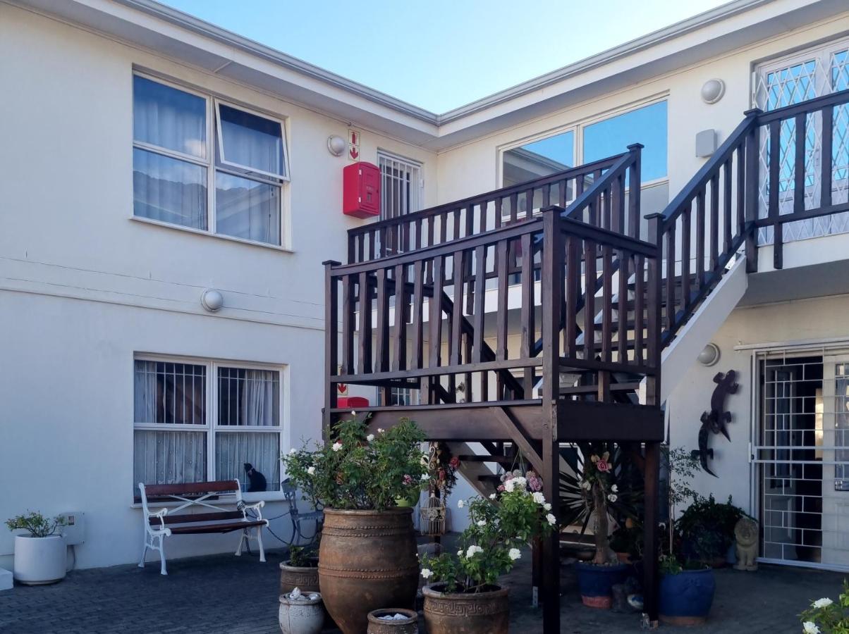 Sea Urchin - B&B Gordon’s Bay