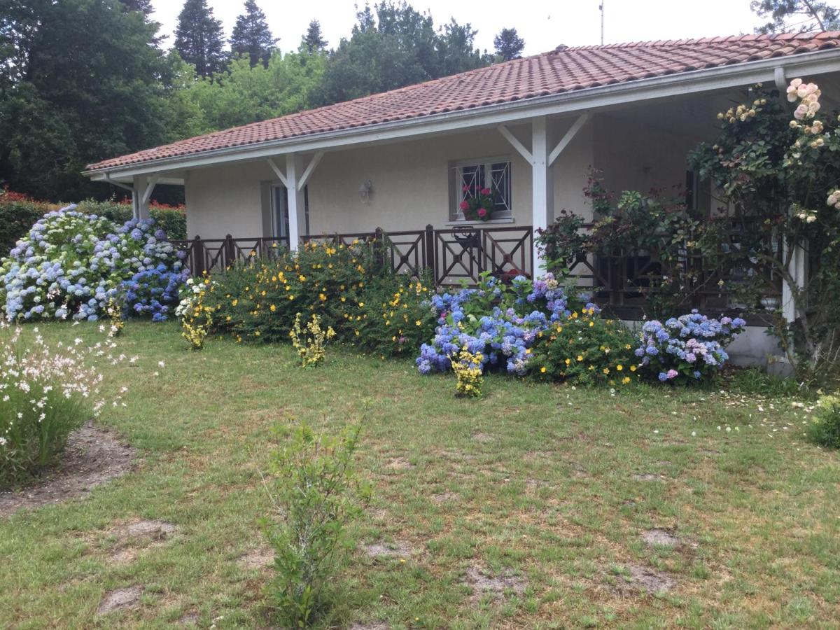 Villa avec grand jardin pour 6 personnes proche lac et océan - Ferienwohnung Magescq