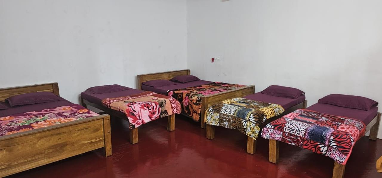 8-Bed Mixed Dormitory Room
