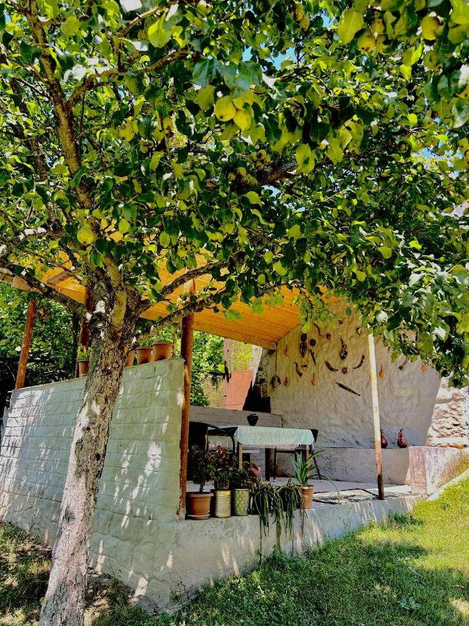Tazos guesthouse - Bed and Breakfast K’atskhi