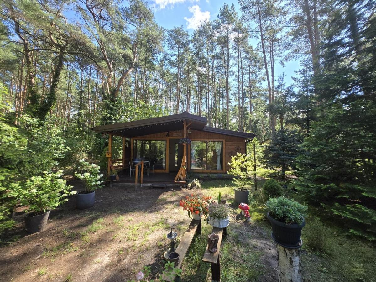 HomeWood - Popowo Letnisko - B&B