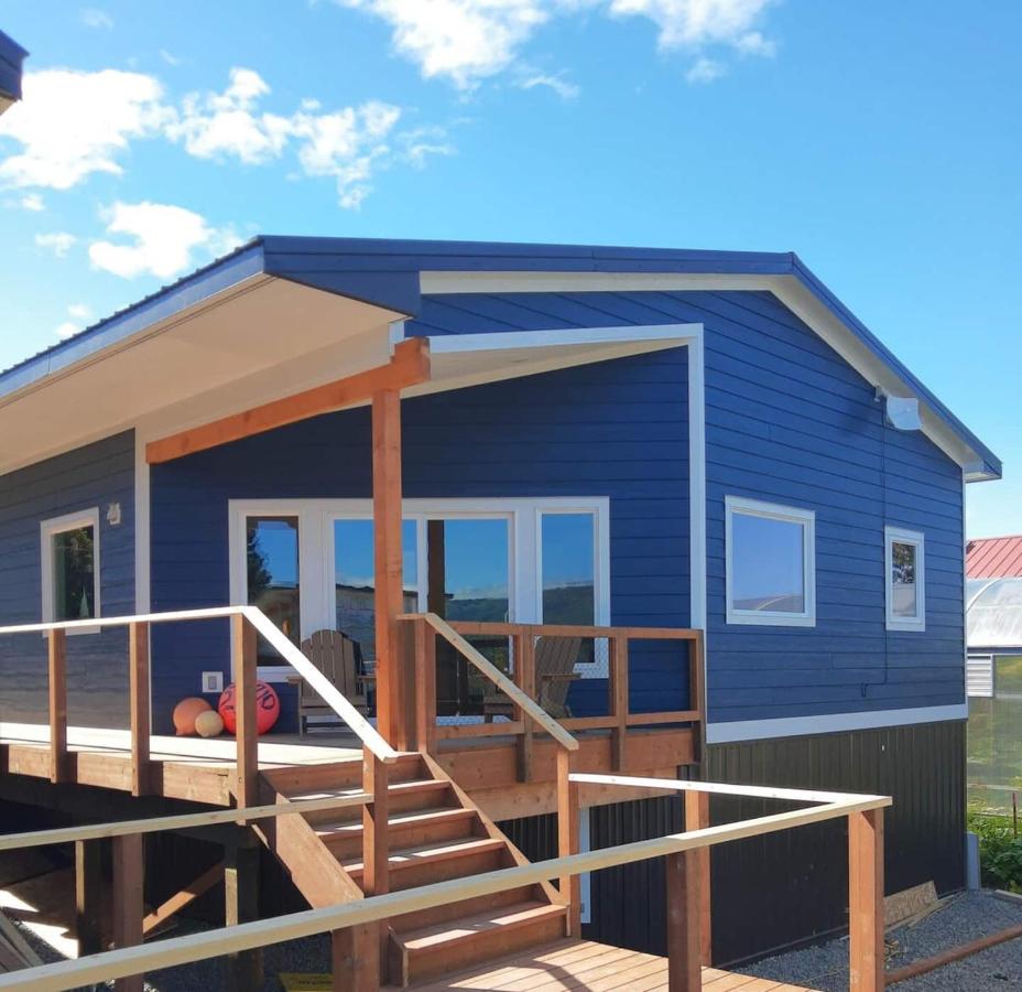 Alderwood Cabin - Homer Seaplane Base - B&B