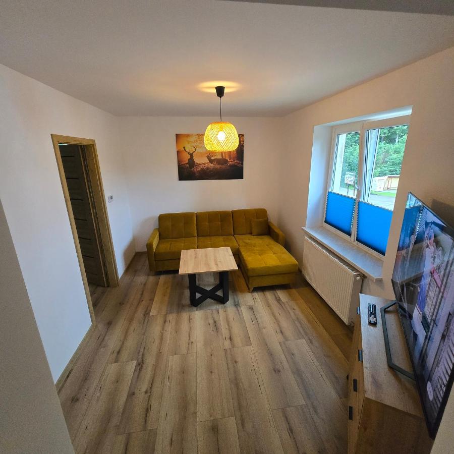 Apartament z kominkiem koło stoku - B&B Przygórze