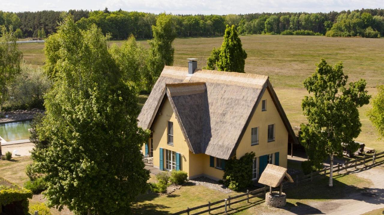 Reetdachhaus Kranich mit Schwimmteich in Krienke - B&B