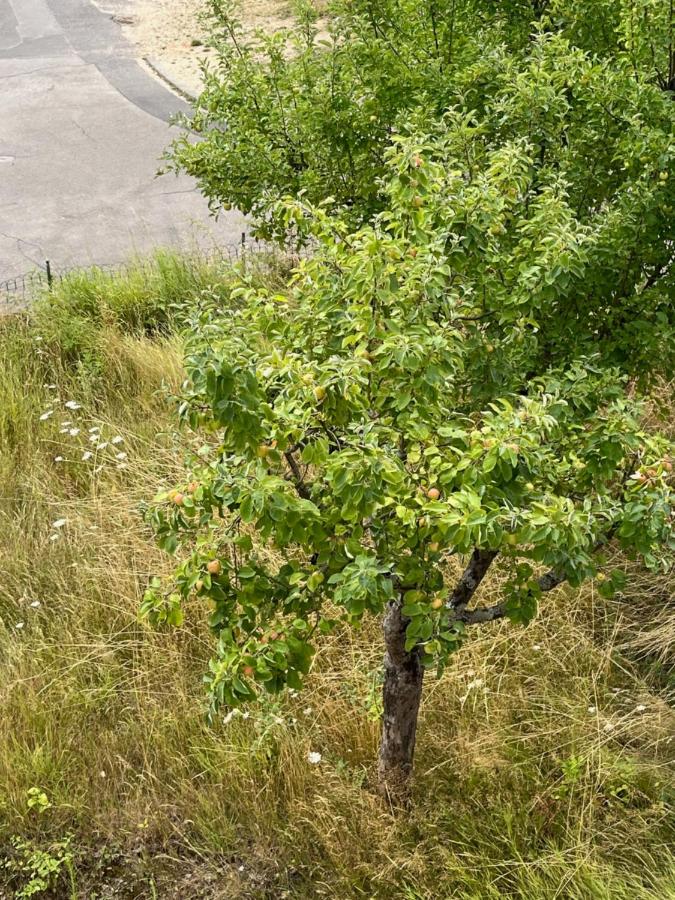 FeWo - EG Apartment Mosel- & Weinquartier, Terrasse, Parkplatz, moderne Küche bis 4 Personen - Chambres d’hôtes Piesport