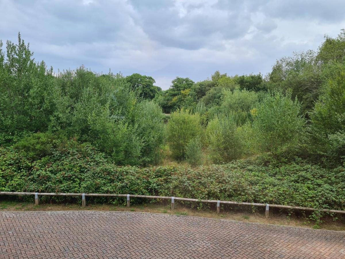 High Standard Single Room near Gatwick Airport - B&B Horley