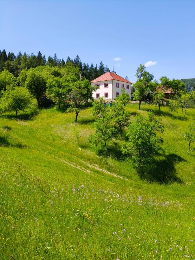 Oaza mira Zlatarsko jezero - Ferienwohnung Amzići