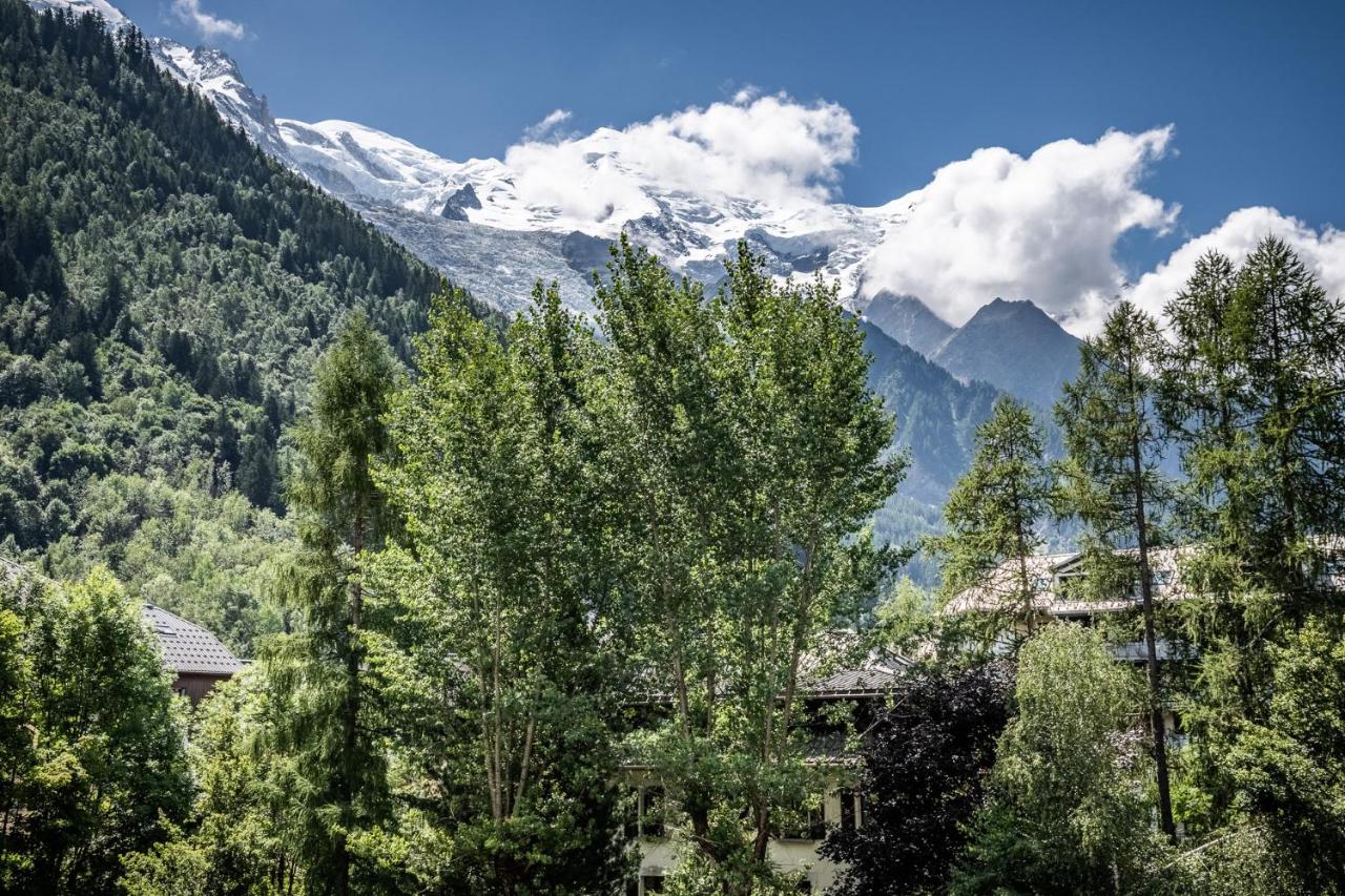 Iris studio with Mont-blanc view