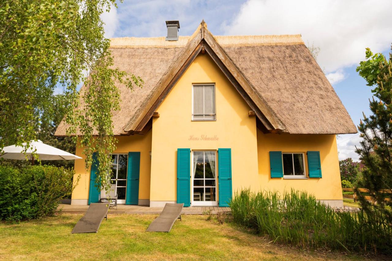 Reetdachhaus mit Schwimmteich in Krienke - B&B Rankwitz