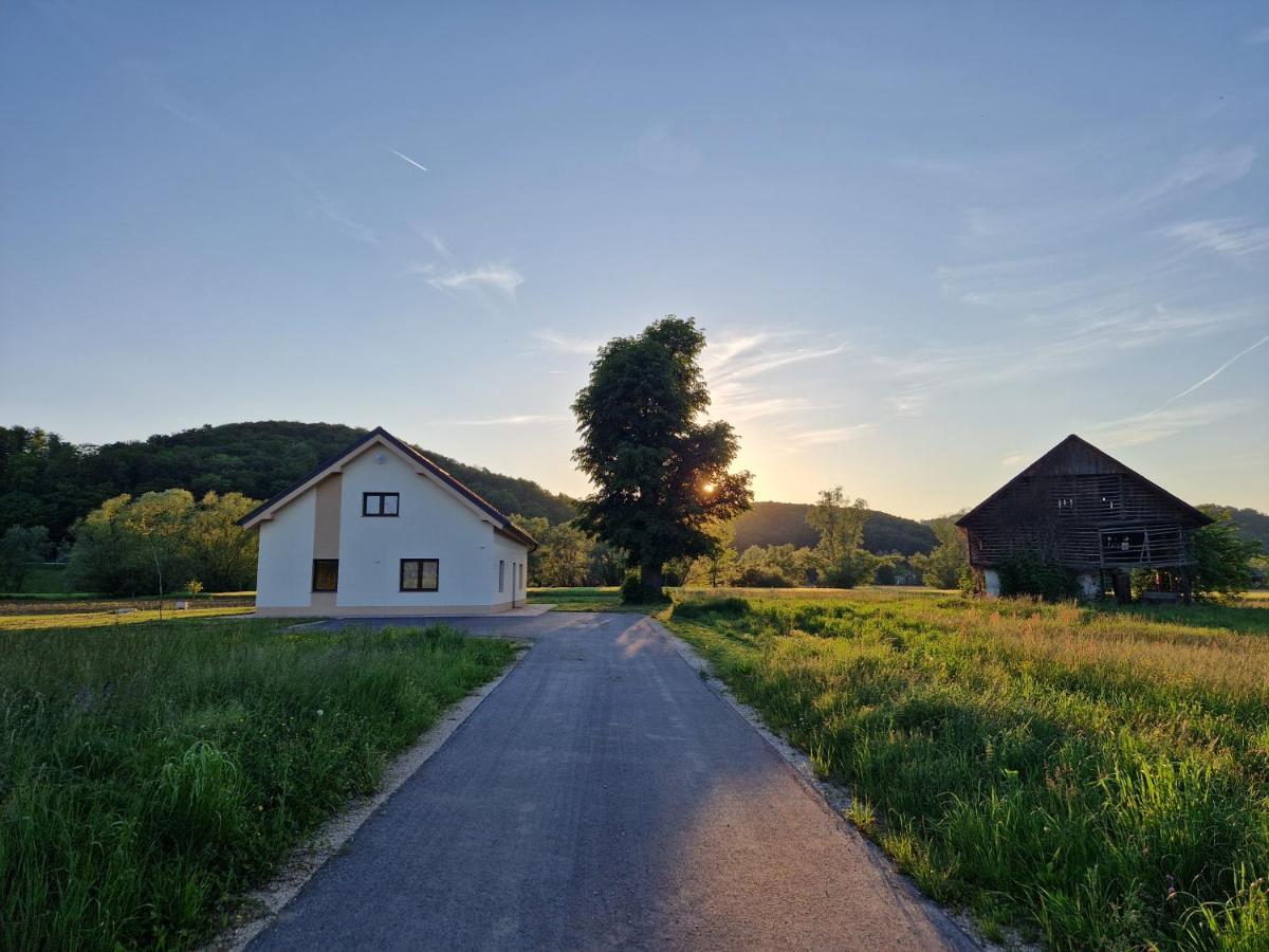 Linden Retreat Apartments with Sauna - B&B Spodnje Mestinje