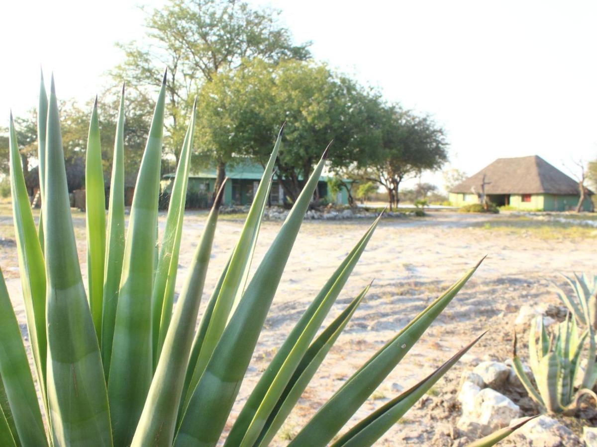 Gelnhausen Game Lodge cc - B&B