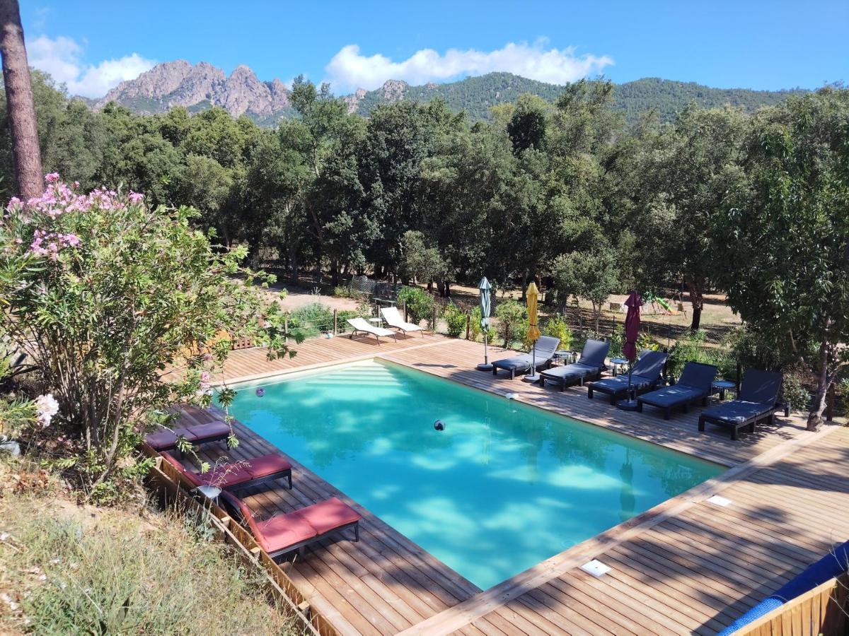 Chalet Conca - B&B Conca