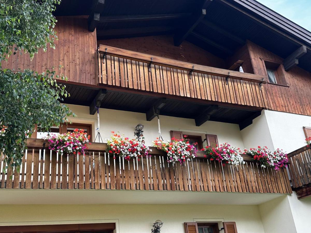 Appartments Oberhofer - B&B San Candido