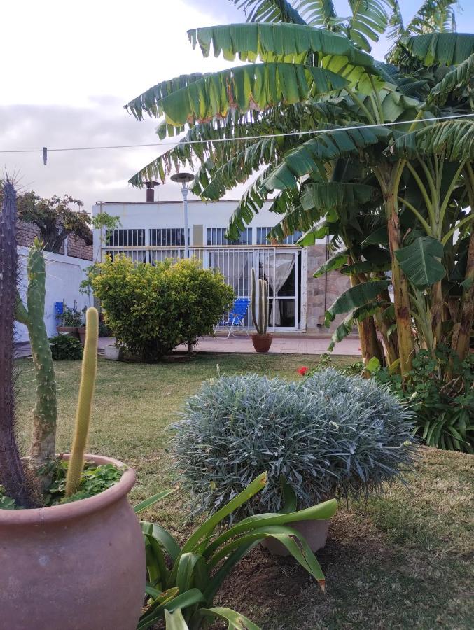 Toto - B&B San Juan
