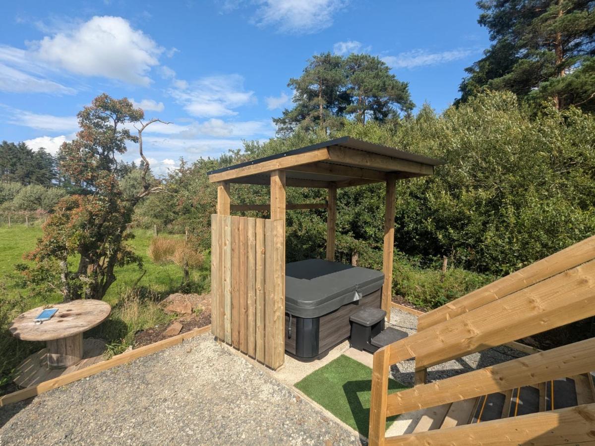 The Truck With Private Hot Tub - Forest View - Chambres d’hôtes Ballynameen