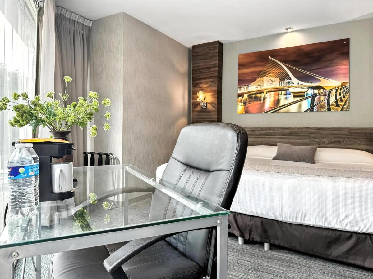 Estudio con cama extragrande