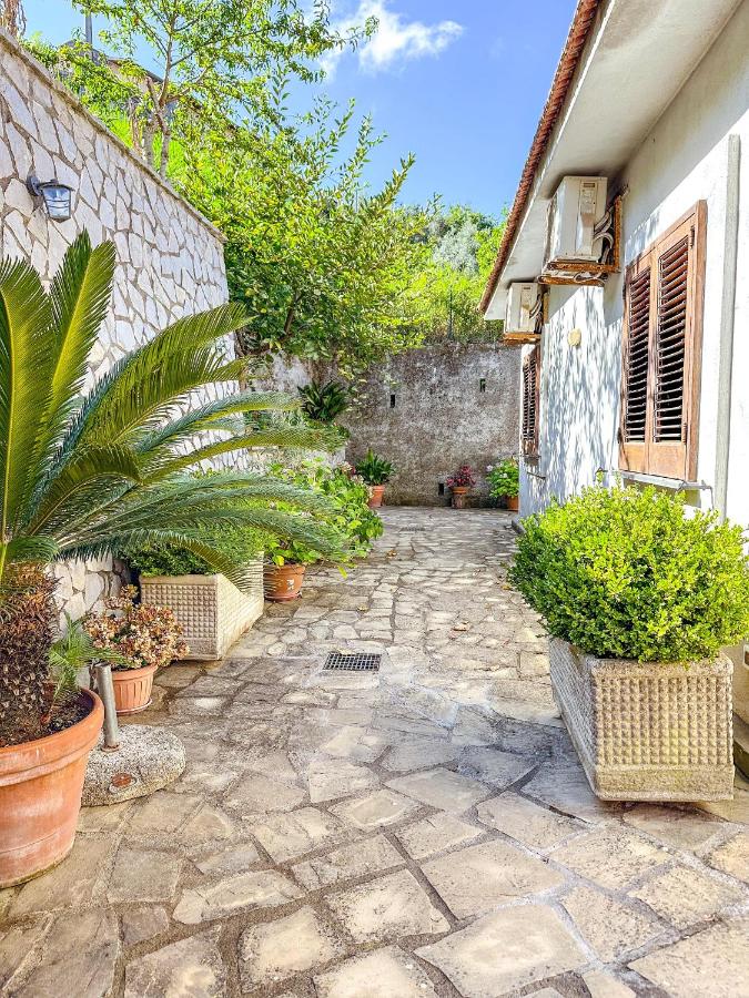 Villa Aurora Oasi Verde - Ferienwohnung Sorrent