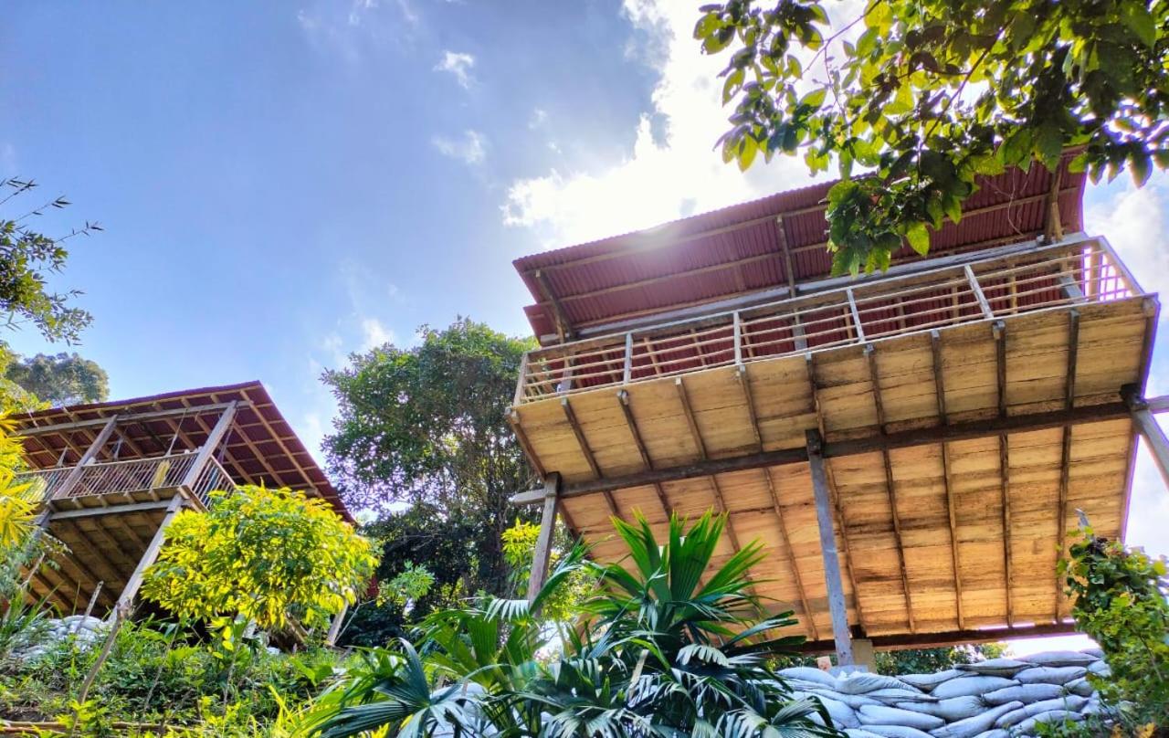 Casinha da Floresta - B&B Santa Marta