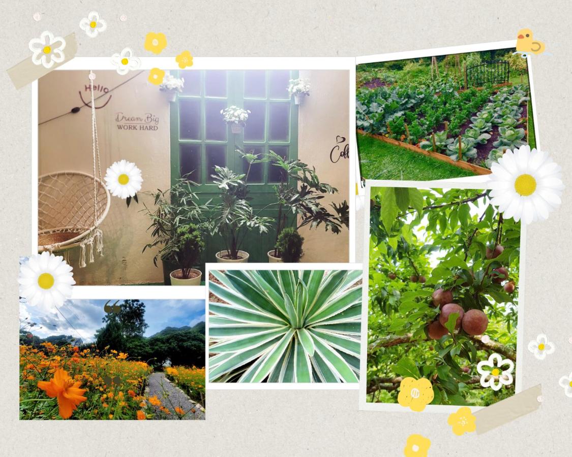 Poong's Garden Mộc Châu - B&B Mộc Châu