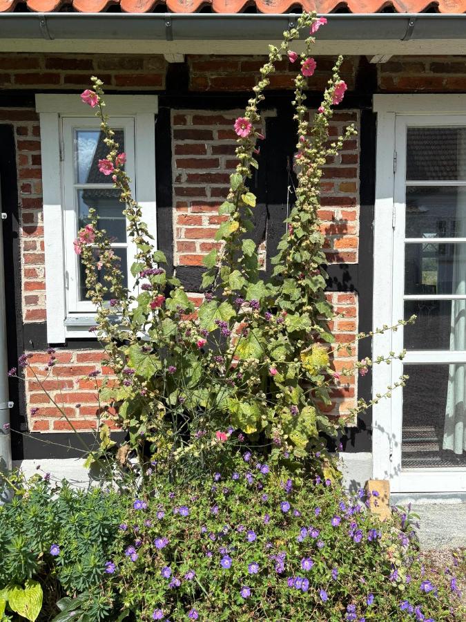 Hönshuset Kullabygden - Ferienwohnung Höganäs