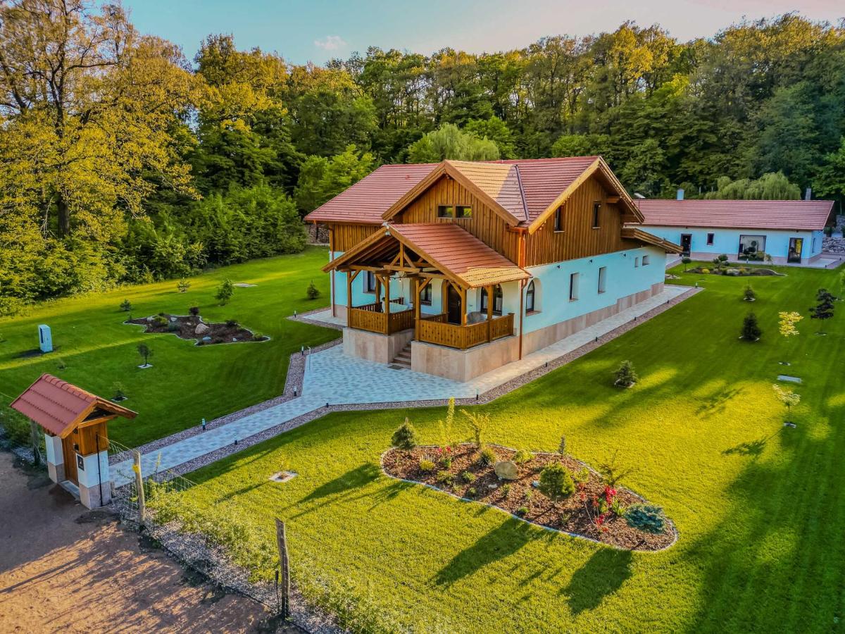Bányahegyi erdei nyugalom és wellness - B&B