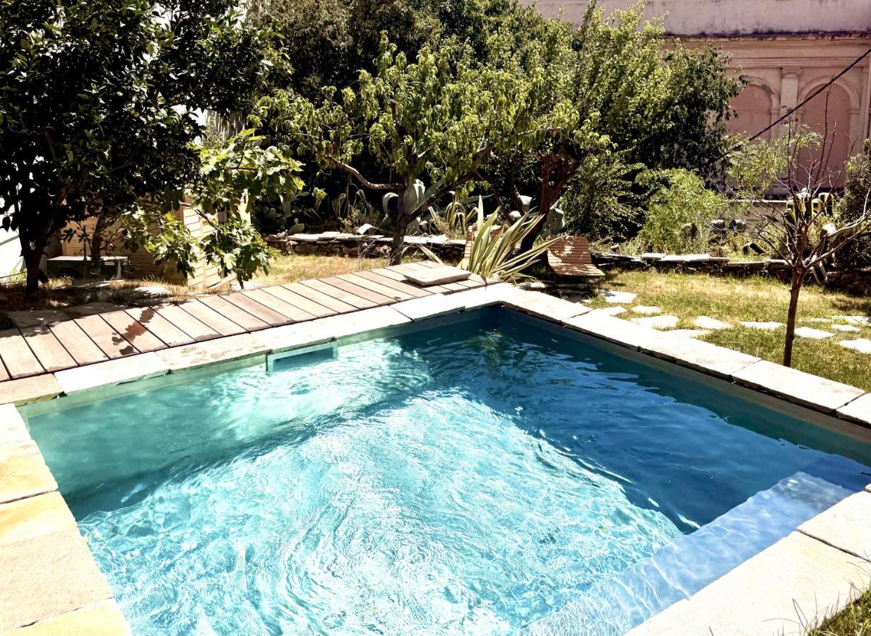 MONTERA Appartement Centre-ville avec piscine chauffée et jardin - B&B