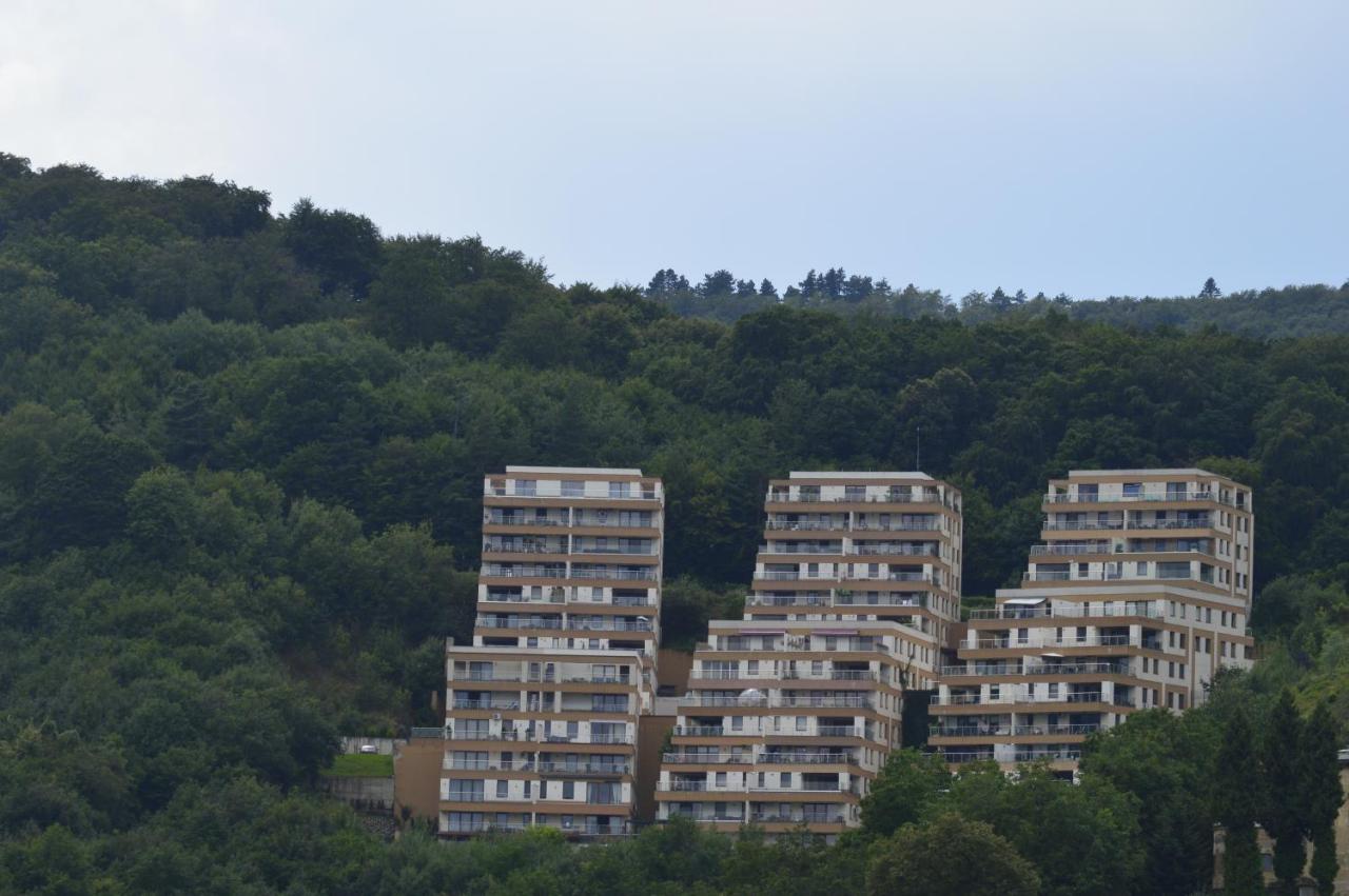 Loft with garden city view and garage - B&B Brasov