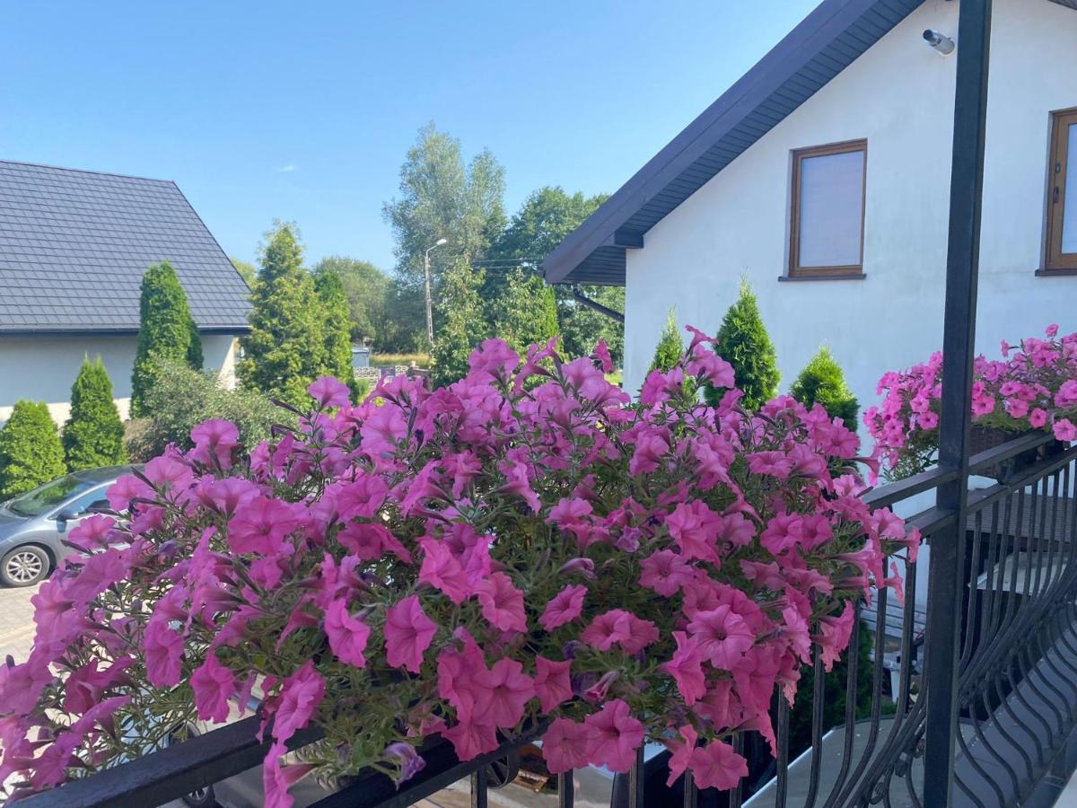 Noclegi AirportPark - B&B