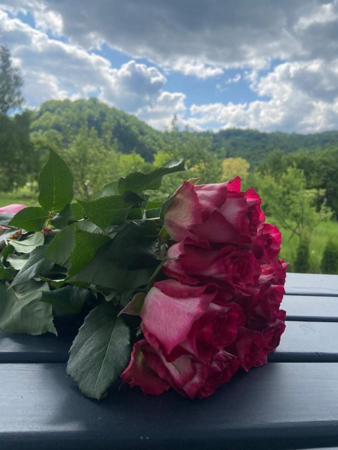 Yaremchuk lodge - B&B