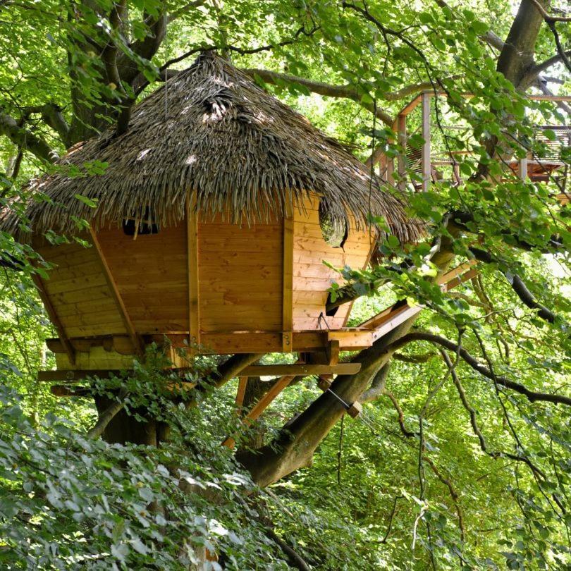One-Bedroom Chalet