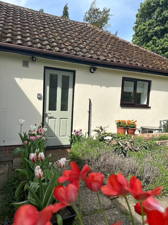 Linden Suite - B&B
