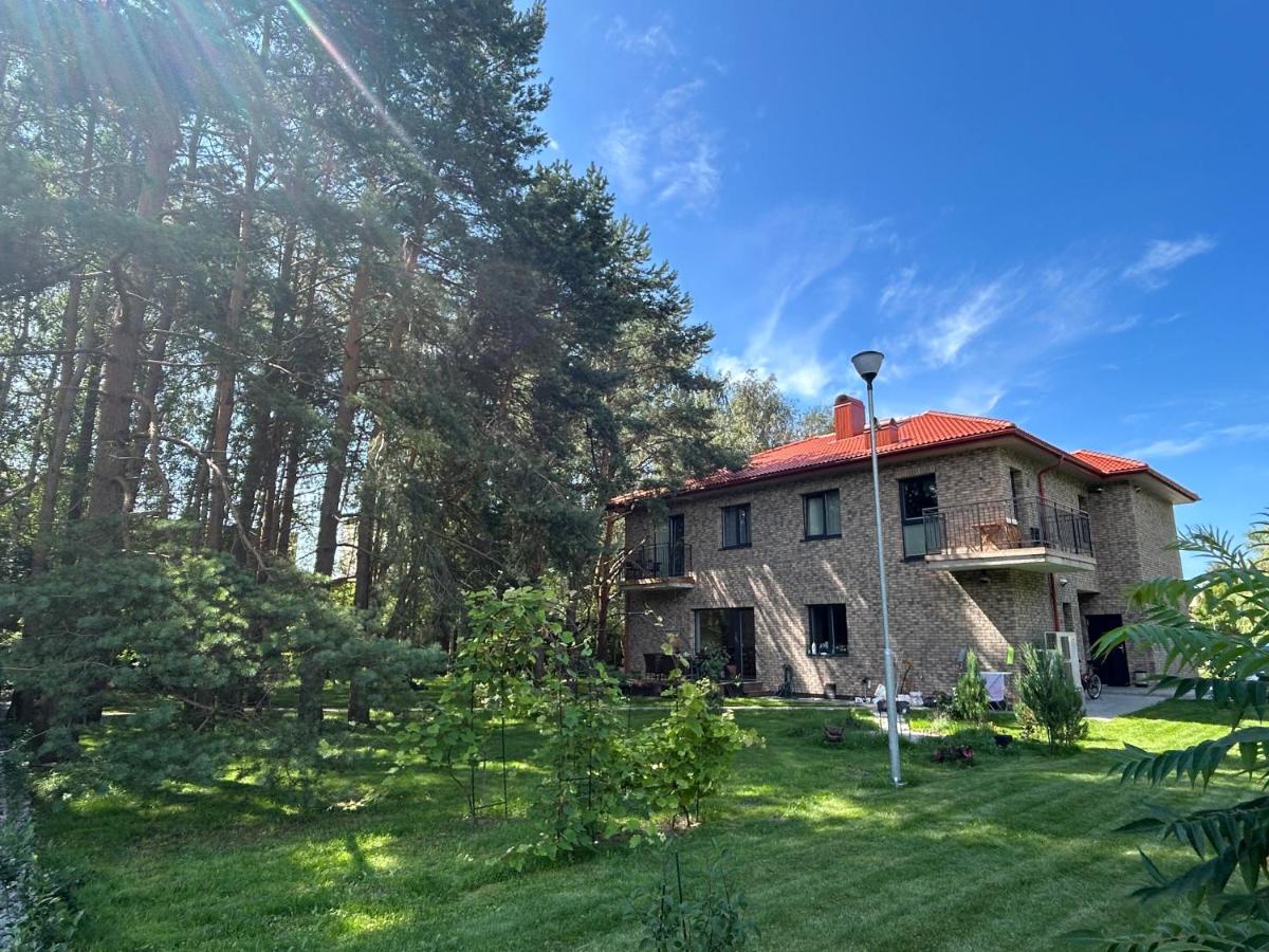 4 winds Boreos 2 - Chambres d’hôtes Palanga