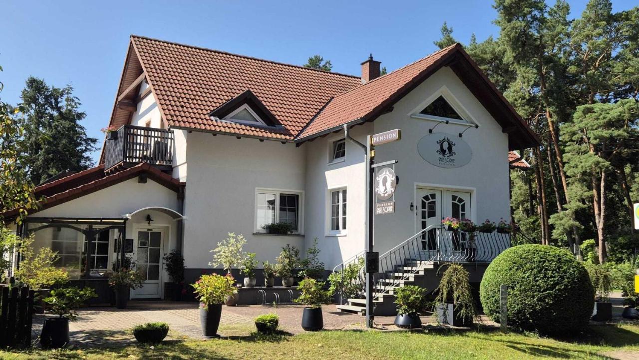 Pension Miss Sophie - Bed and Breakfast Kyritz