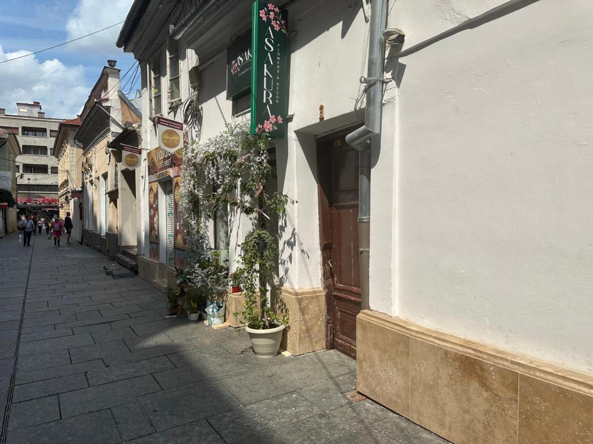 La Palma Cave - B&B Cluj-Napoca