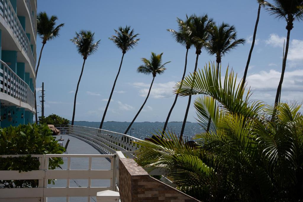 Seaside Cove Studio-Completely Renovated! - B&B Fajardo