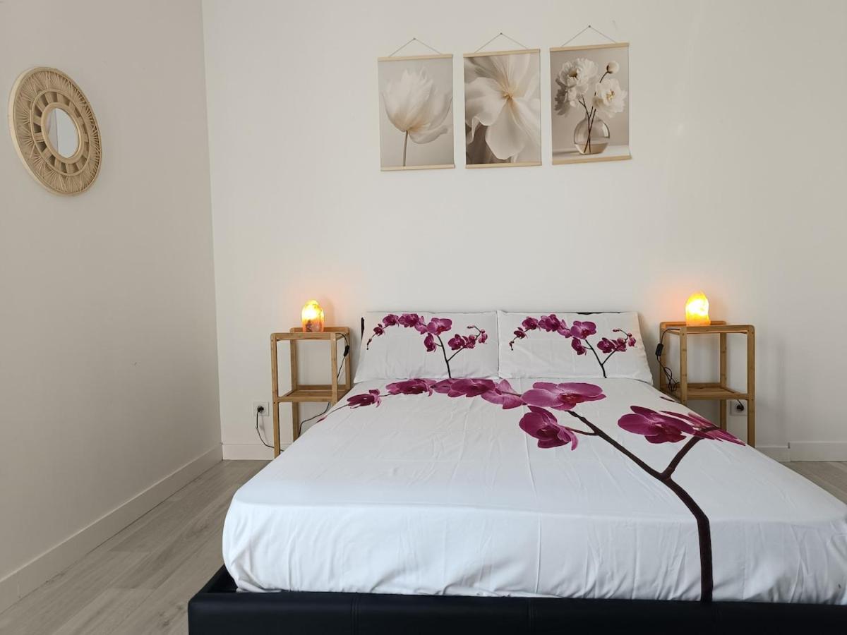 Appartement 1 Chambre