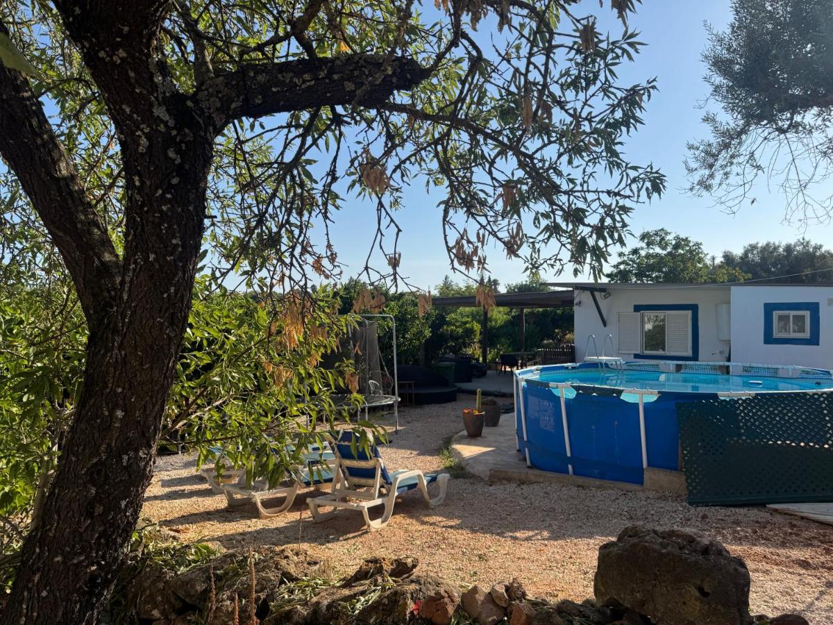 Casa Oliveira - B&B