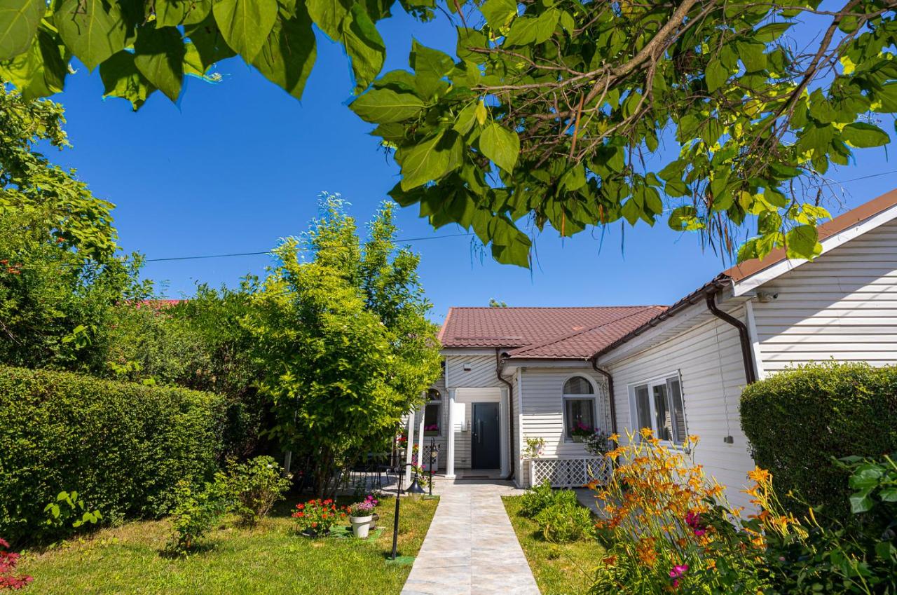 Sara's Vila - Chambres d’hôtes Tufanul
