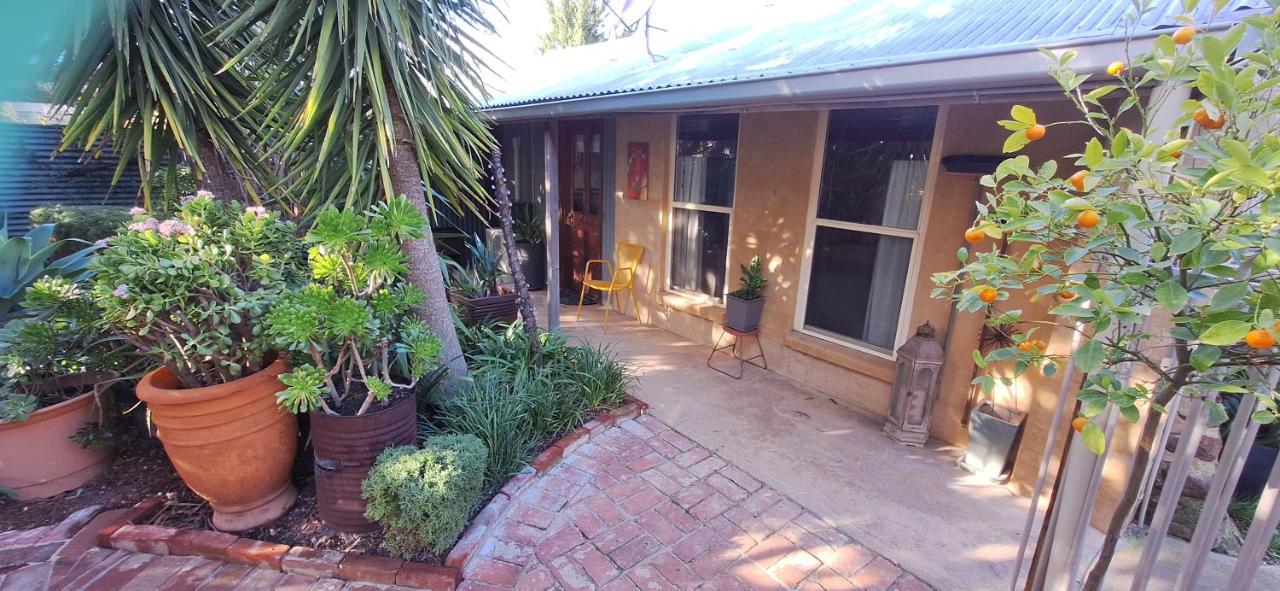 Little Para Cottage Tanunda - B&B