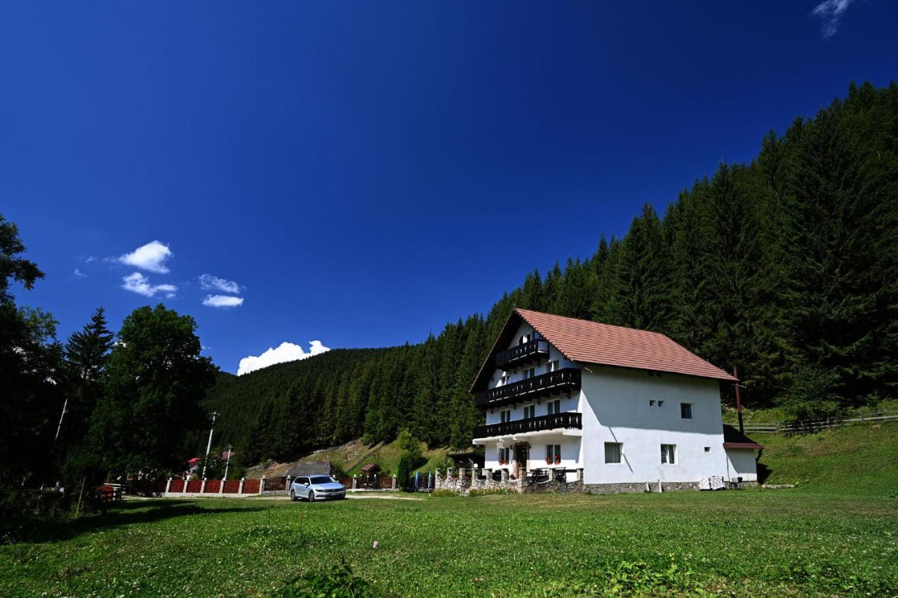 Casa Alexandru Dorin - Ferienwohnung Moieciu de Sus