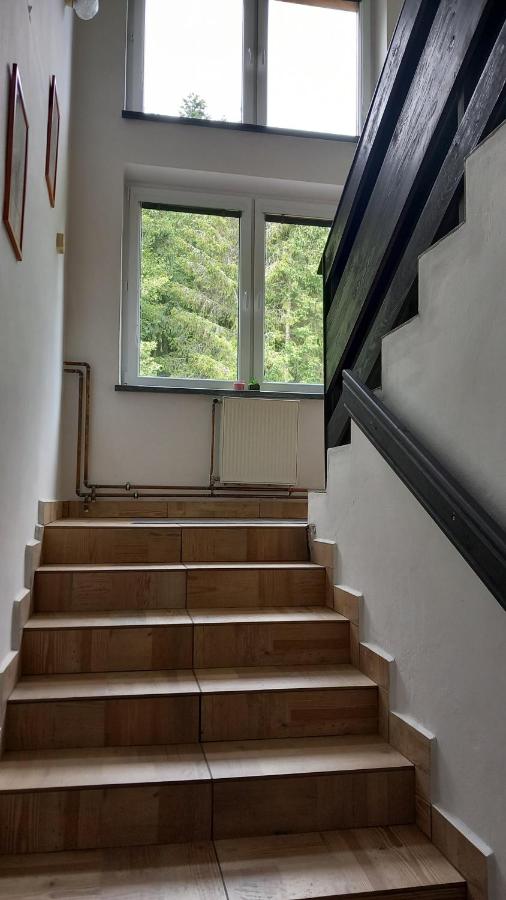 Poľovnícka chata Štefana - B&B