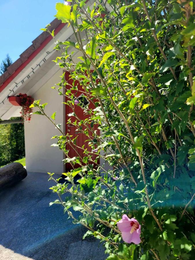 Babičina hišica - B&B