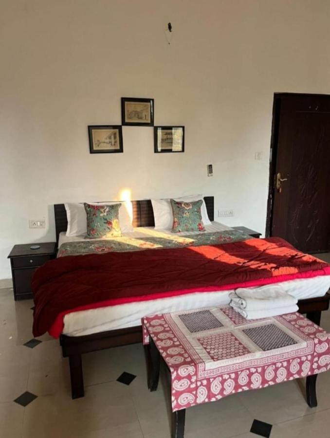 Room #1473455002