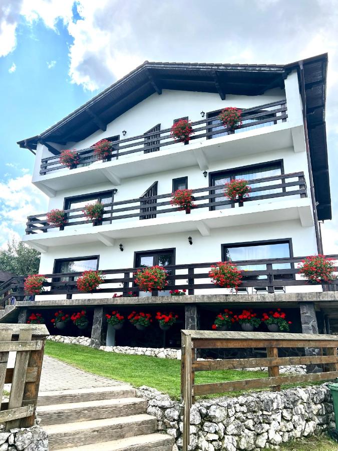 Casa Valea Rece - Ferienwohnung Bran
