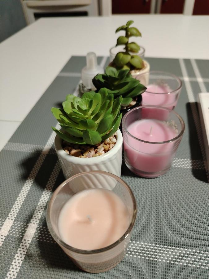 Apartman Zdravković - B&B Leskovac