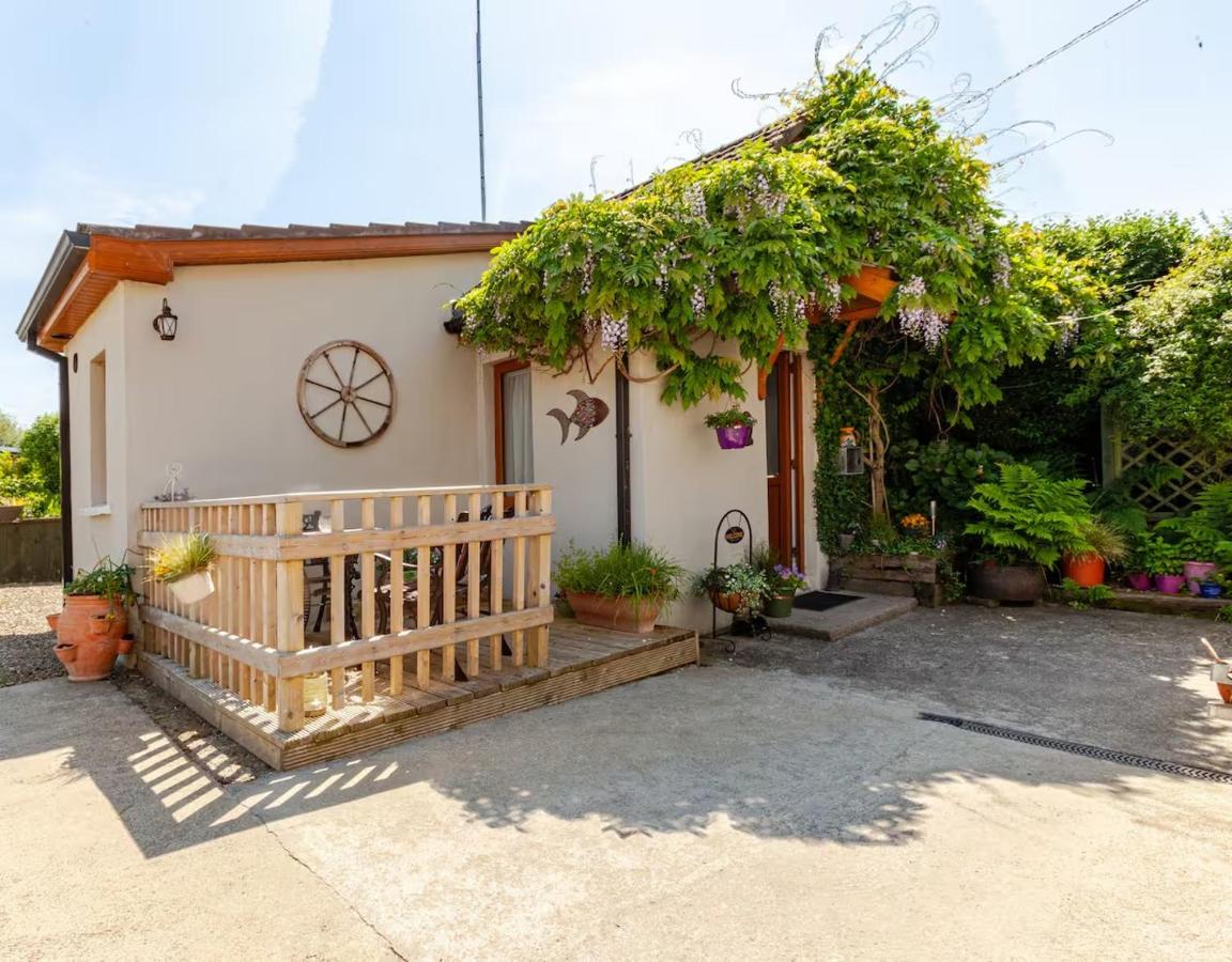 Meadowbrook Studio - B&B