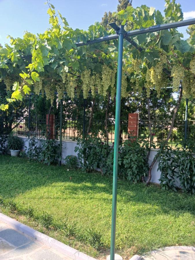 Artemis Villa - B&B